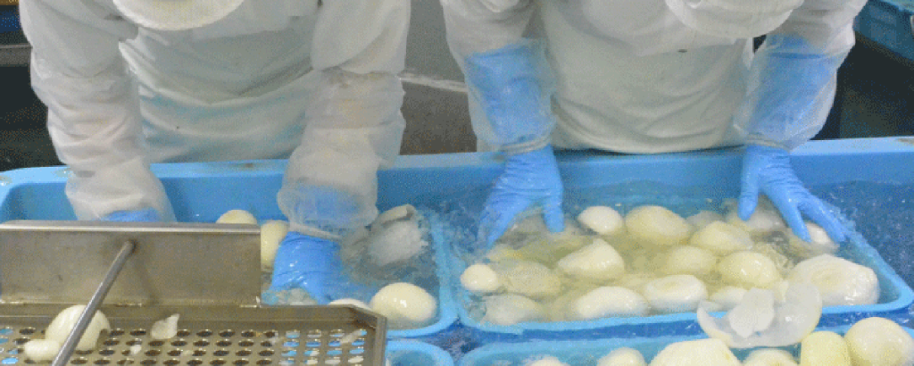 冷凍加工のはじまり